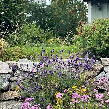 Cozy, New On Krakeroy * فردريكسْتاد