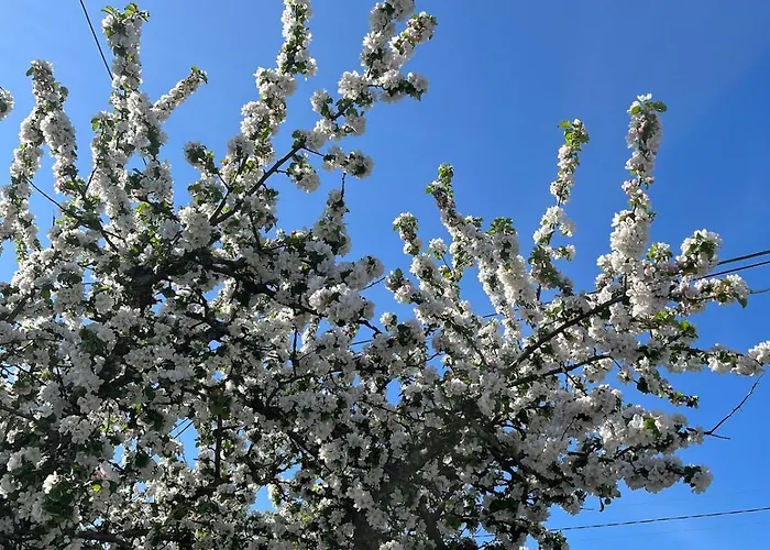 Cozy, New On Krakeroy *